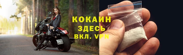 таблы Богданович