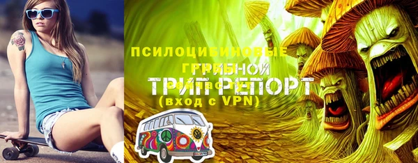 дурь Богородск