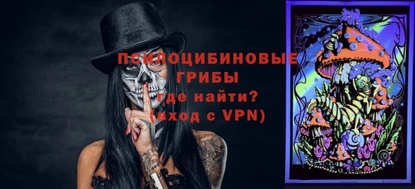 дурь Богородск