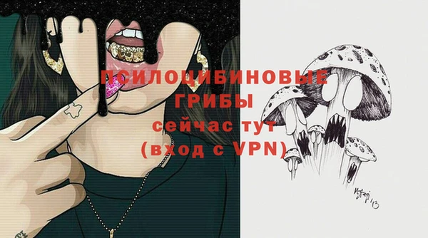 таблы Богданович