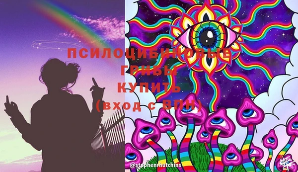 таблы Богданович