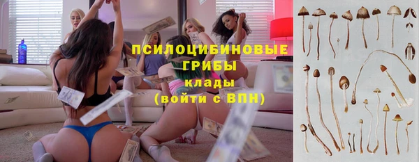 амфетамин Сосновый Бор