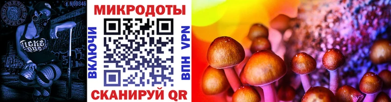 купить наркоту  Клин  Галлюциногенные грибы Cubensis 
